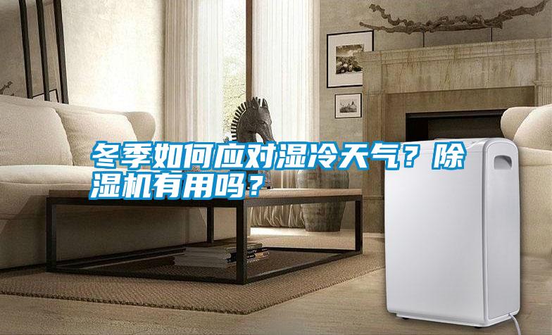 冬季如何應對濕冷天氣？除濕機有用嗎？