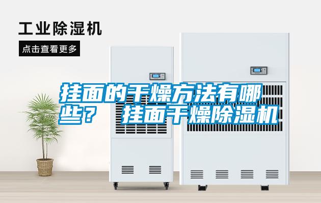 掛面的干燥方法有哪些？ 掛面干燥除濕機