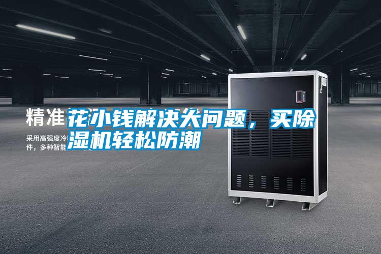 花小錢解決大問題，買除濕機輕松防潮