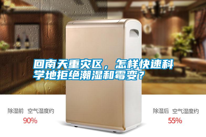 回南天重災區，怎樣快速科學地拒絕潮濕和霉變？