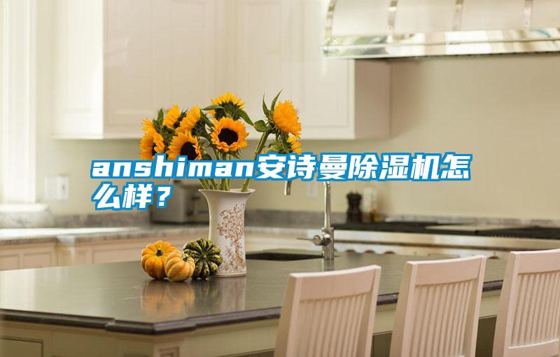 anshiman安詩曼除濕機(jī)怎么樣？