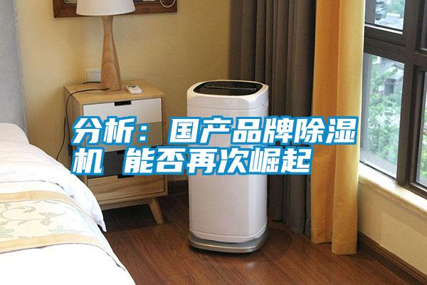 分析:國產(chǎn)品牌除濕機(jī) 能否再次崛起