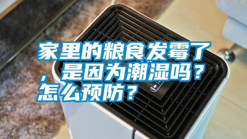 家里的糧食發霉了，是因為潮濕嗎？怎么預防？