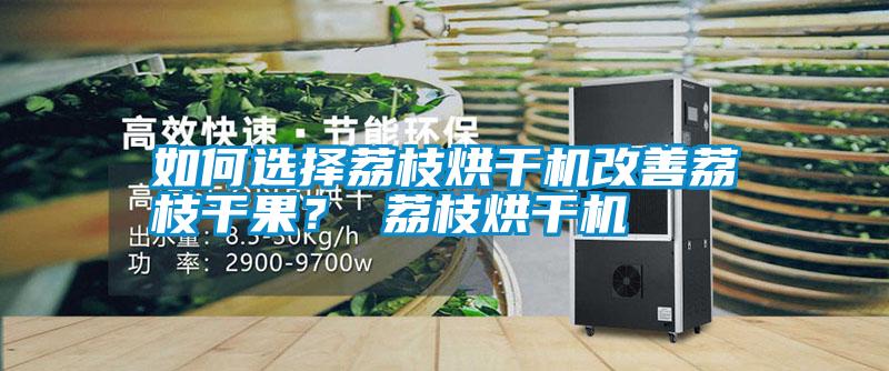 如何選擇荔枝烘干機(jī)改善荔枝干果? 荔枝烘干機(jī)