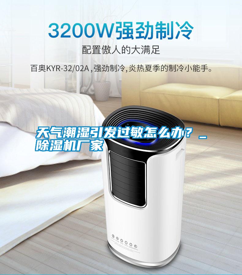 天氣潮濕引發(fā)過敏怎么辦?_除濕機廠家
