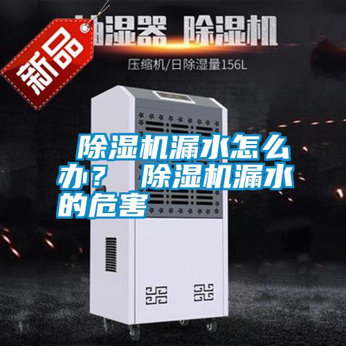  除濕機(jī)漏水怎么辦？ 除濕機(jī)漏水的危害