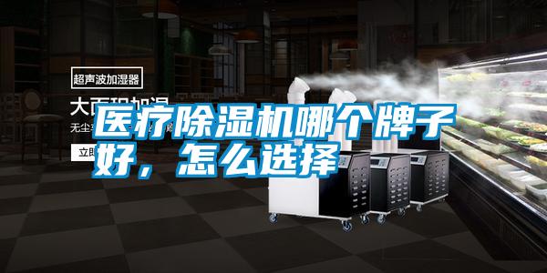 醫療除濕機哪個牌子好，怎么選擇