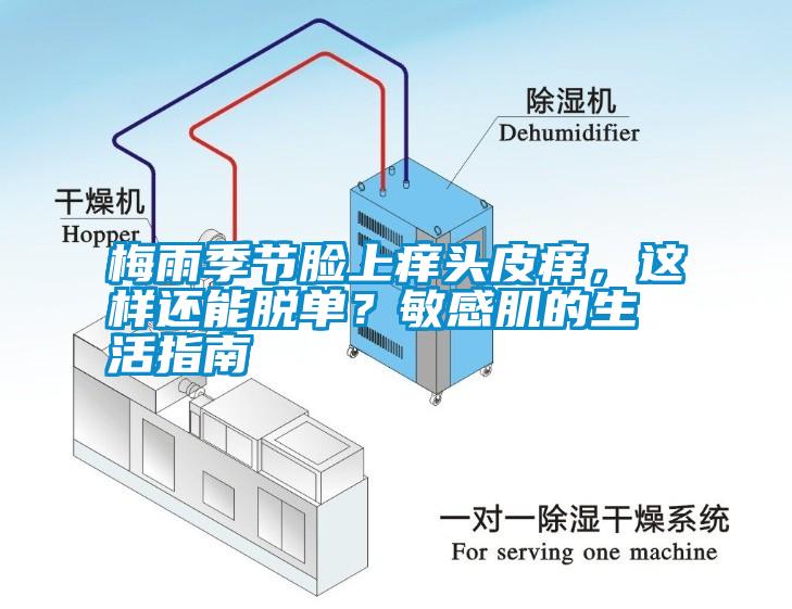 梅雨季節臉上癢頭皮癢，這樣還能脫單？敏感肌的生活指南