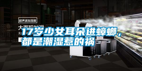 17歲少女耳朵進蟑螂，都是潮濕惹的禍