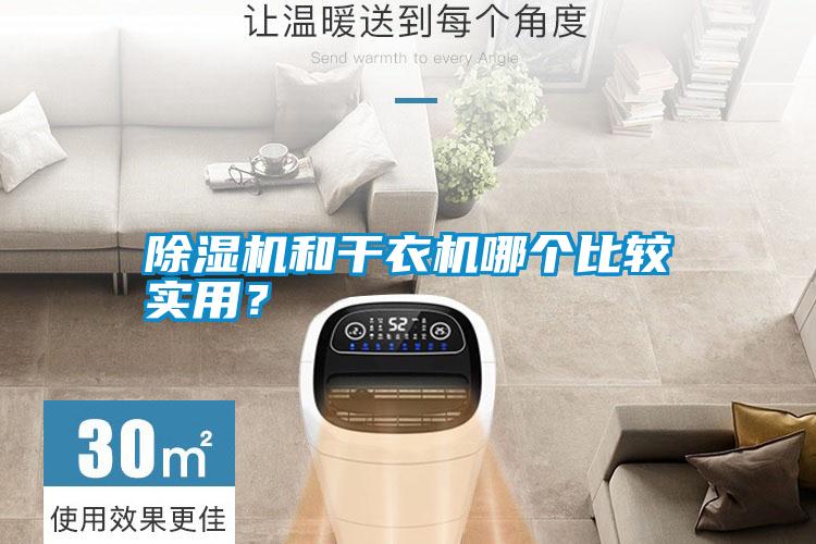 除濕機和干衣機哪個比較實用?