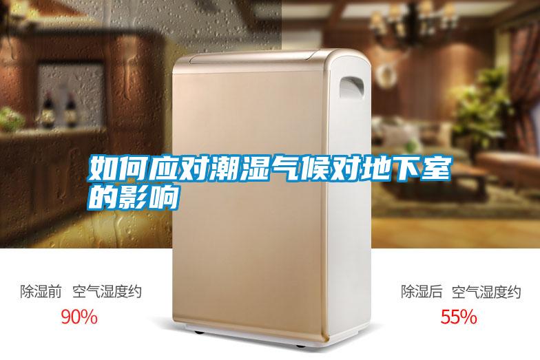 如何應對潮濕氣候對地下室的影響