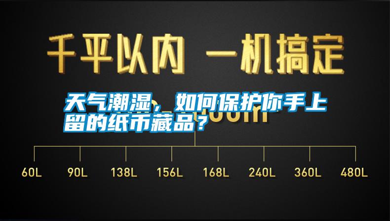 天氣潮濕,如何保護你手上留的紙幣藏品?