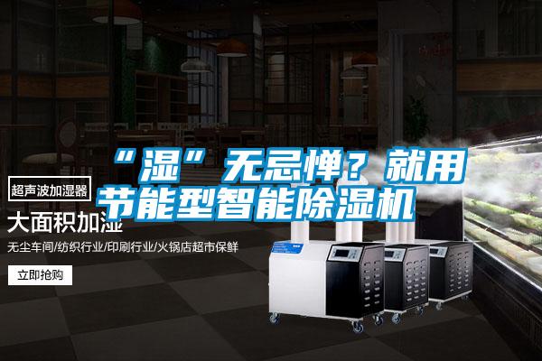 “濕”無(wú)忌憚？就用節(jié)能型智能除濕機(jī)
