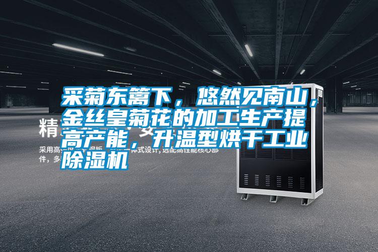 采菊東籬下,悠然見南山,金絲皇菊花的加工生產提高產能,升溫型烘干工業除濕機