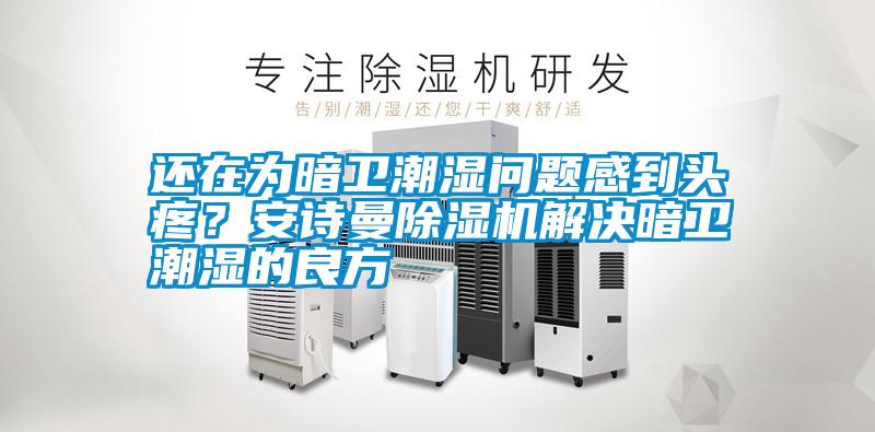 還在為暗衛(wèi)潮濕問(wèn)題感到頭疼？安詩(shī)曼除濕機(jī)解決暗衛(wèi)潮濕的良方