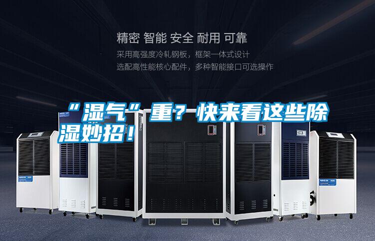 “濕氣”重？快來看這些除濕妙招！