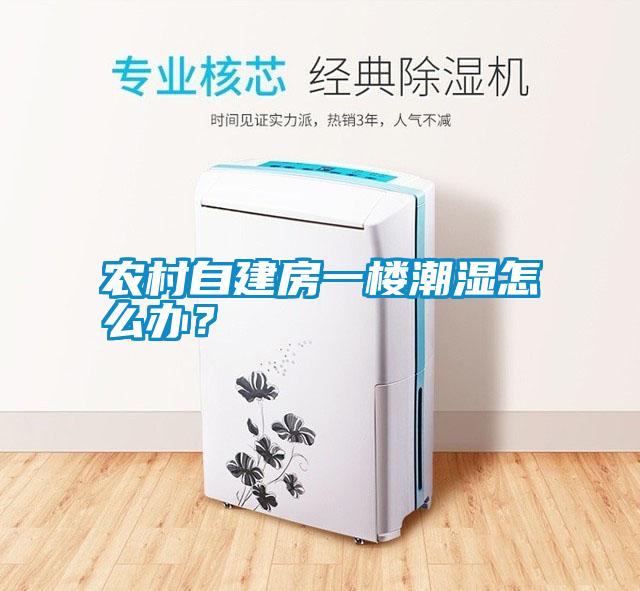 農村自建房一樓潮濕怎么辦？