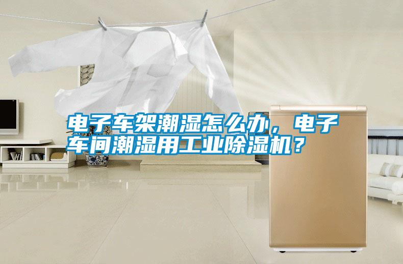 電子車架潮濕怎么辦,電子車間潮濕用工業(yè)除濕機?