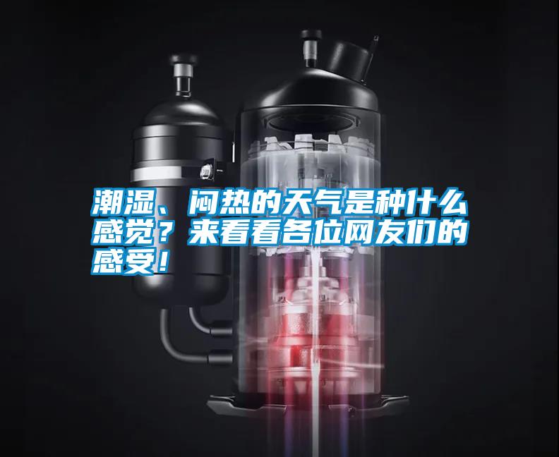 潮濕、悶熱的天氣是種什么感覺？來看看各位網(wǎng)友們的感受！