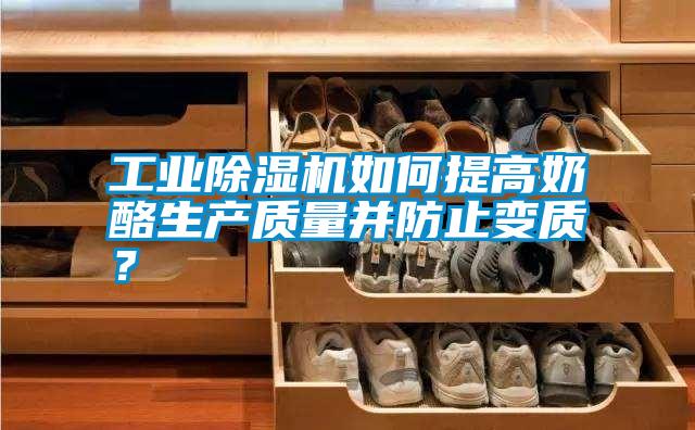工業除濕機如何提高奶酪生產質量并防止變質？