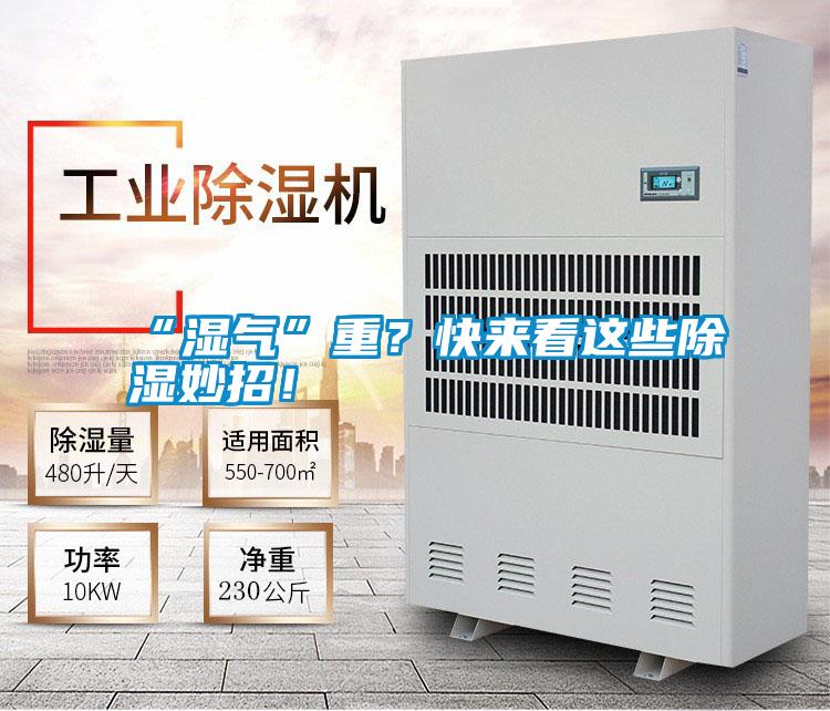 “濕氣”重？快來(lái)看這些除濕妙招！