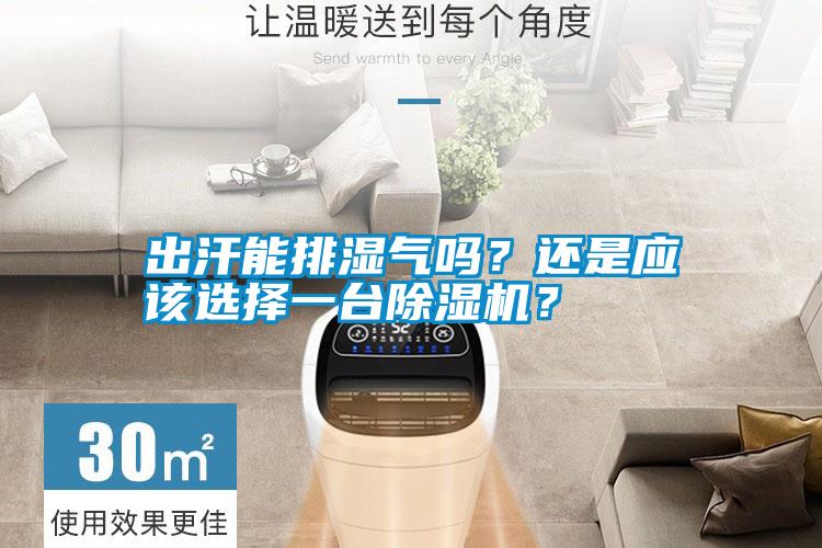 出汗能排濕氣嗎?還是應(yīng)該選擇一臺(tái)除濕機(jī)?