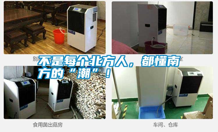 不是每個北方人,都懂南方的“潮”!