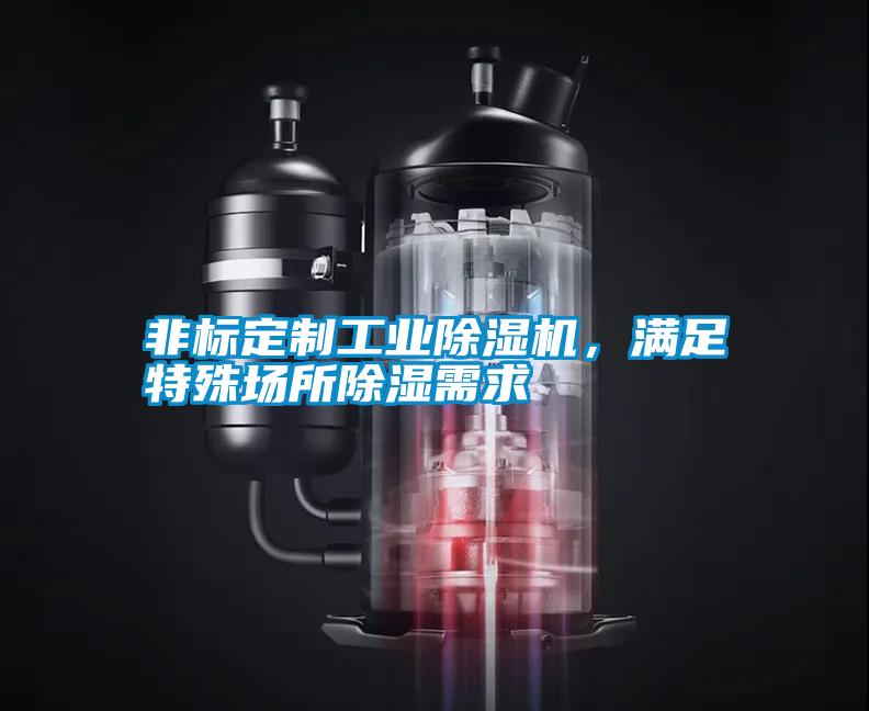 非標定制工業(yè)除濕機,滿足特殊場所除濕需求