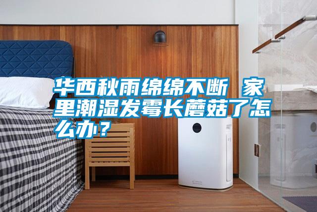 華西秋雨綿綿不斷 家里潮濕發霉長蘑菇了怎么辦？