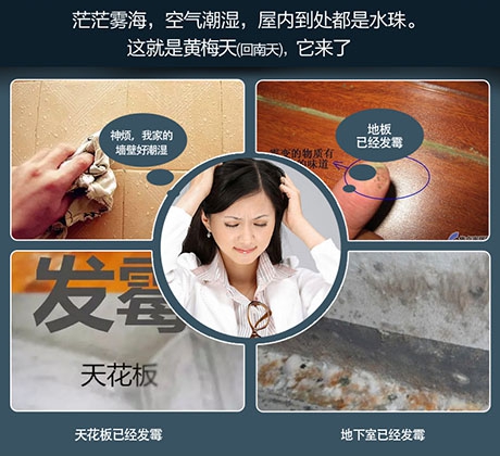 如何了解轉(zhuǎn)輪除濕機的運行性能?