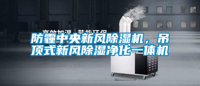 防霾中央新風除濕機,吊頂式新風除濕凈化一體機