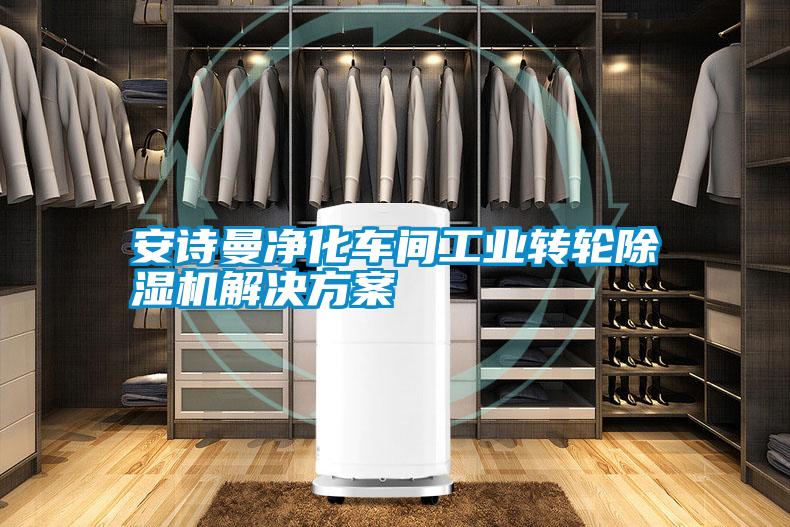 安詩(shī)曼凈化車(chē)間工業(yè)轉(zhuǎn)輪除濕機(jī)解決方案
