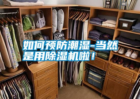 如何預防潮濕-當然是用除濕機啦！