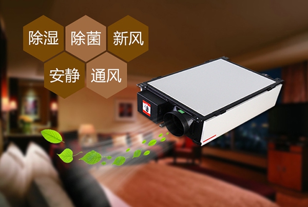 解決地下室的潮濕問題，除濕機可以解決且效果非常好