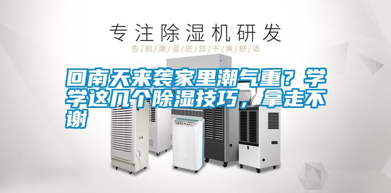 回南天來襲家里潮氣重？學學這幾個除濕技巧，拿走不謝