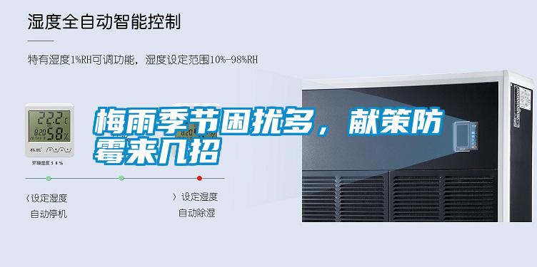 梅雨季節(jié)困擾多，獻(xiàn)策防霉來幾招