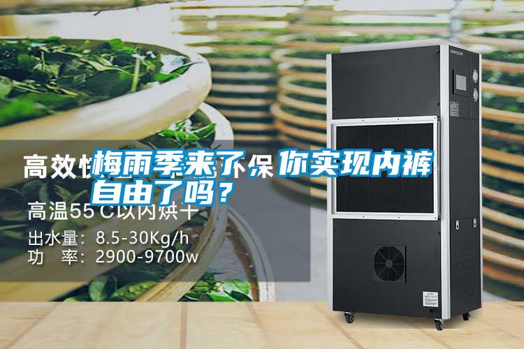 梅雨季來了，你實現(xiàn)內(nèi)褲自由了嗎？