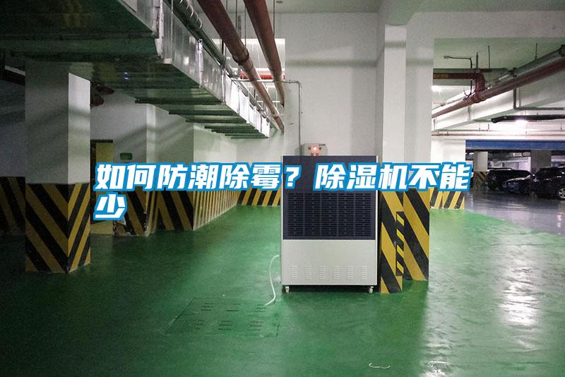 如何防潮除霉？除濕機(jī)不能少