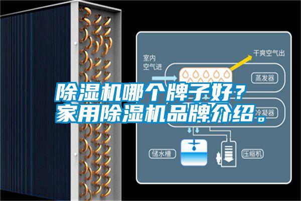 除濕機哪個牌子好？家用除濕機品牌介紹。