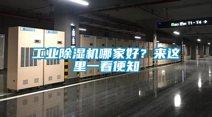 工業(yè)除濕機哪家好?來這里一看便知