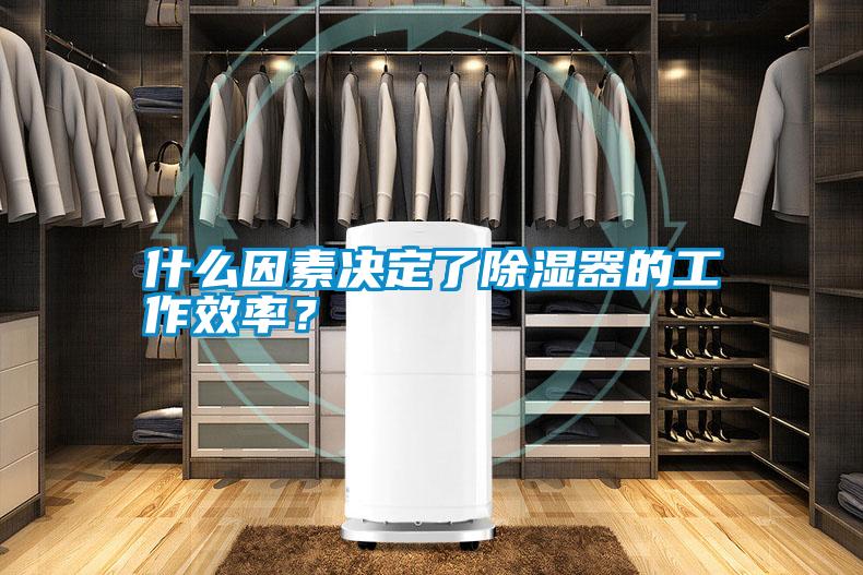 什么因素決定了除濕器的工作效率？