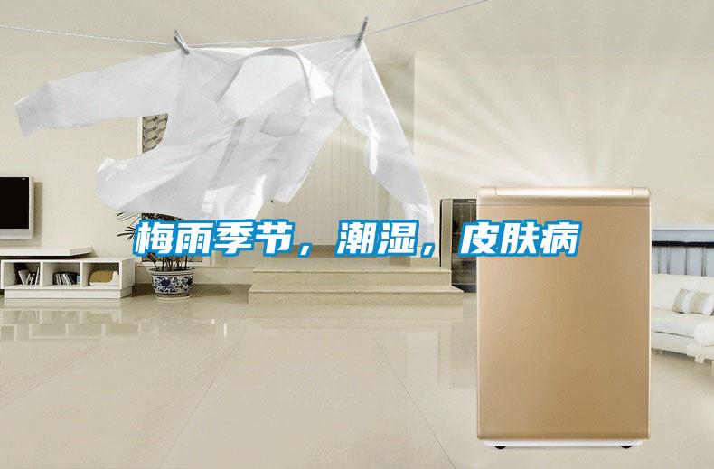 梅雨季節，潮濕，皮膚病