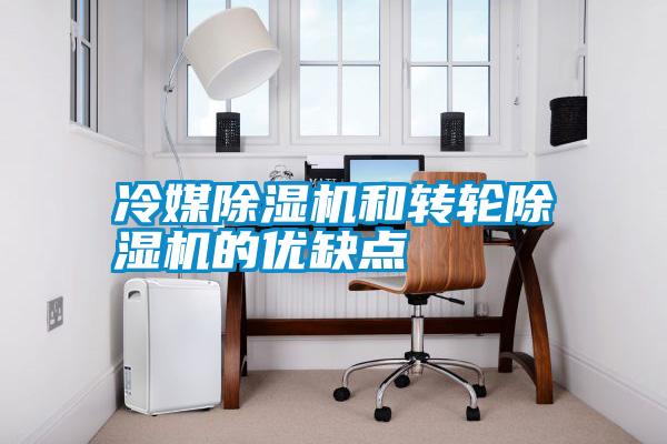 冷媒除濕機(jī)和轉(zhuǎn)輪除濕機(jī)的優(yōu)缺點