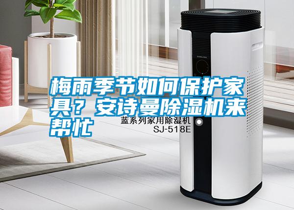 梅雨季節如何保護家具？安詩曼除濕機來幫忙