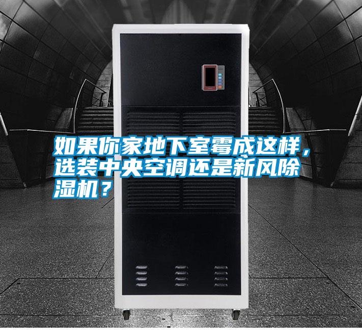 如果你家地下室霉成這樣，選裝中央空調還是新風除濕機？