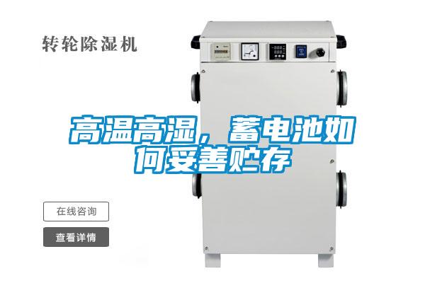 高溫高濕，蓄電池如何妥善貯存