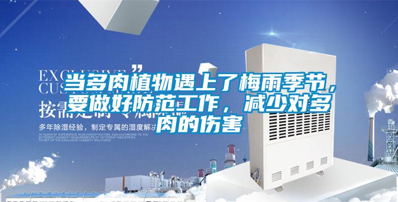 當多肉植物遇上了梅雨季節，要做好防范工作，減少對多肉的傷害