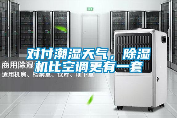 對付潮濕天氣，除濕機比空調(diào)更有一套