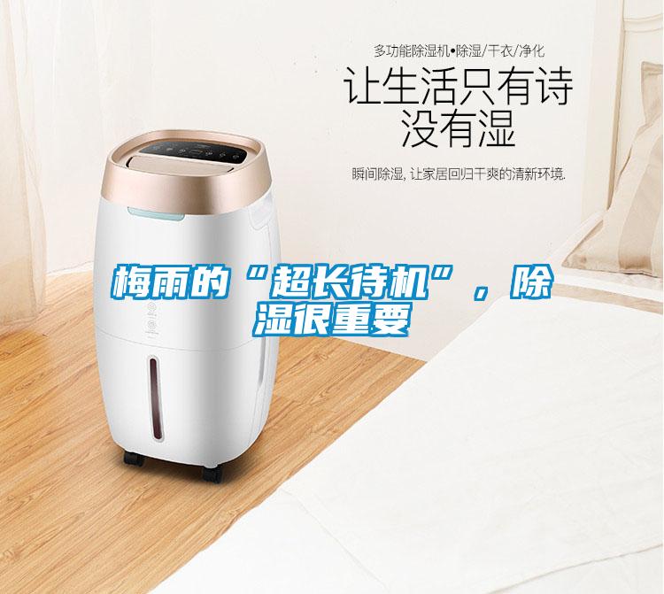 梅雨的“超長待機”,除濕很重要