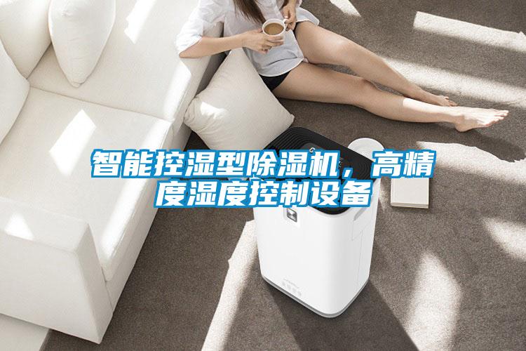 智能控濕型除濕機(jī),高精度濕度控制設(shè)備